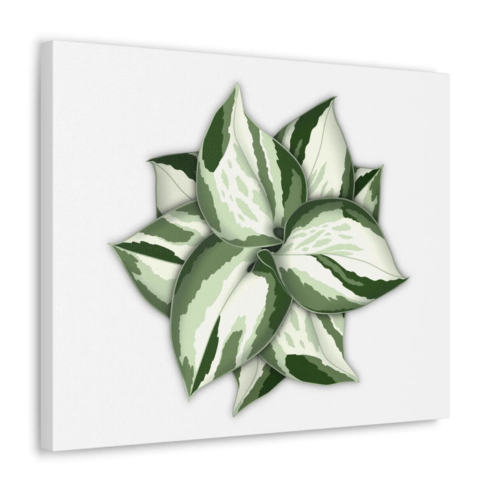 Manjula Pothos Canvas | Botanical Canvas Print - Indoor Plant Print Wall Art - Laura Christine Photography & Design