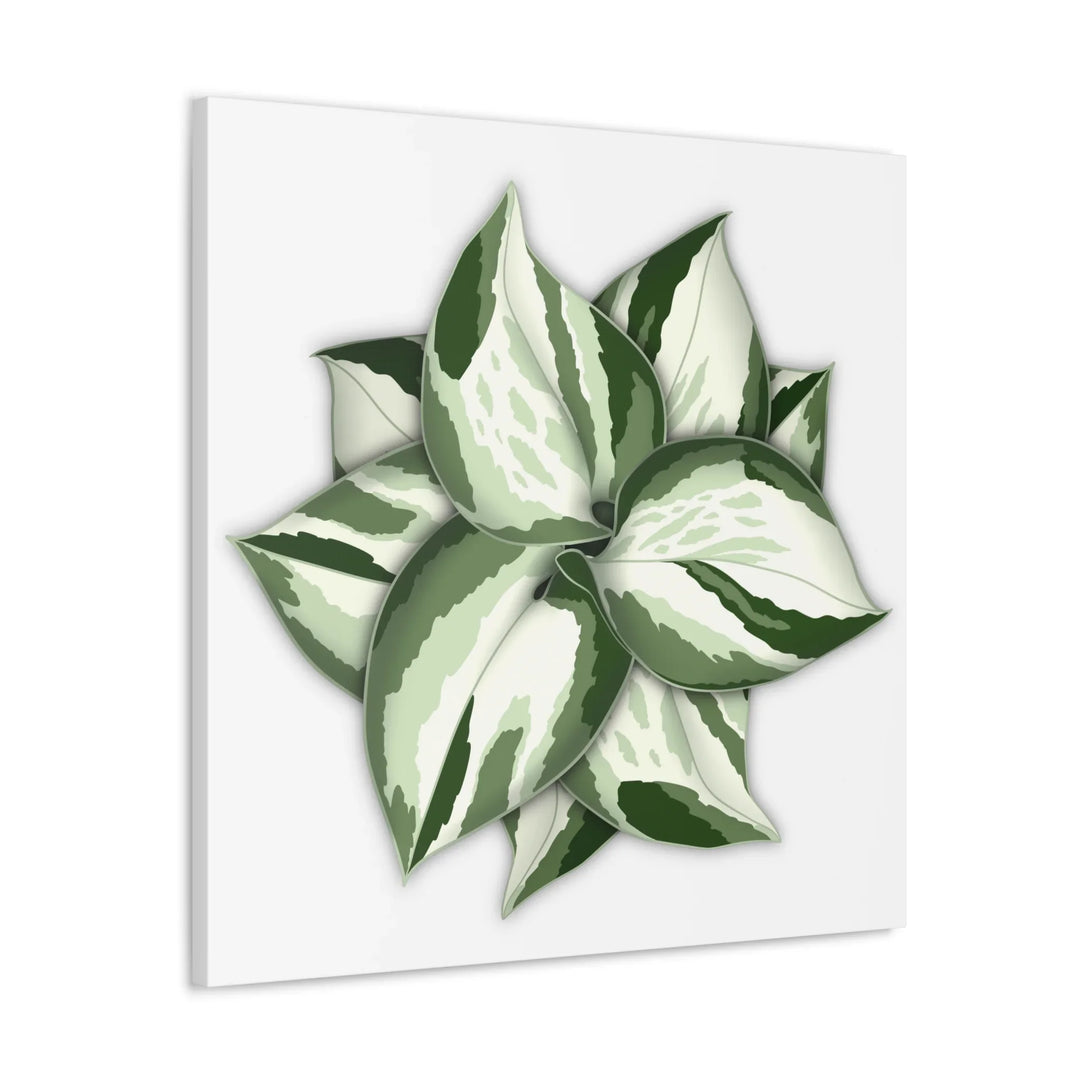 Manjula Pothos Canvas | Botanical Canvas Print - Indoor Plant Print Wall Art - Laura Christine Photography & Design