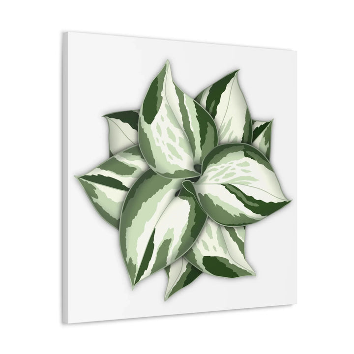 Manjula Pothos Canvas | Botanical Canvas Print - Indoor Plant Print Wall Art - Laura Christine Photography & Design