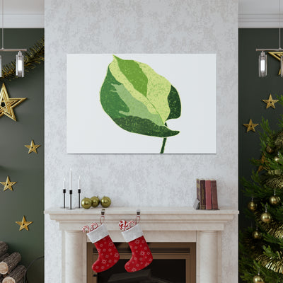 Manjula Pothos Canvas