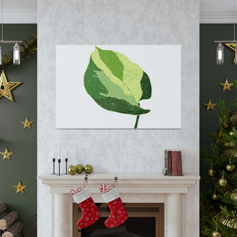 Manjula Pothos Canvas