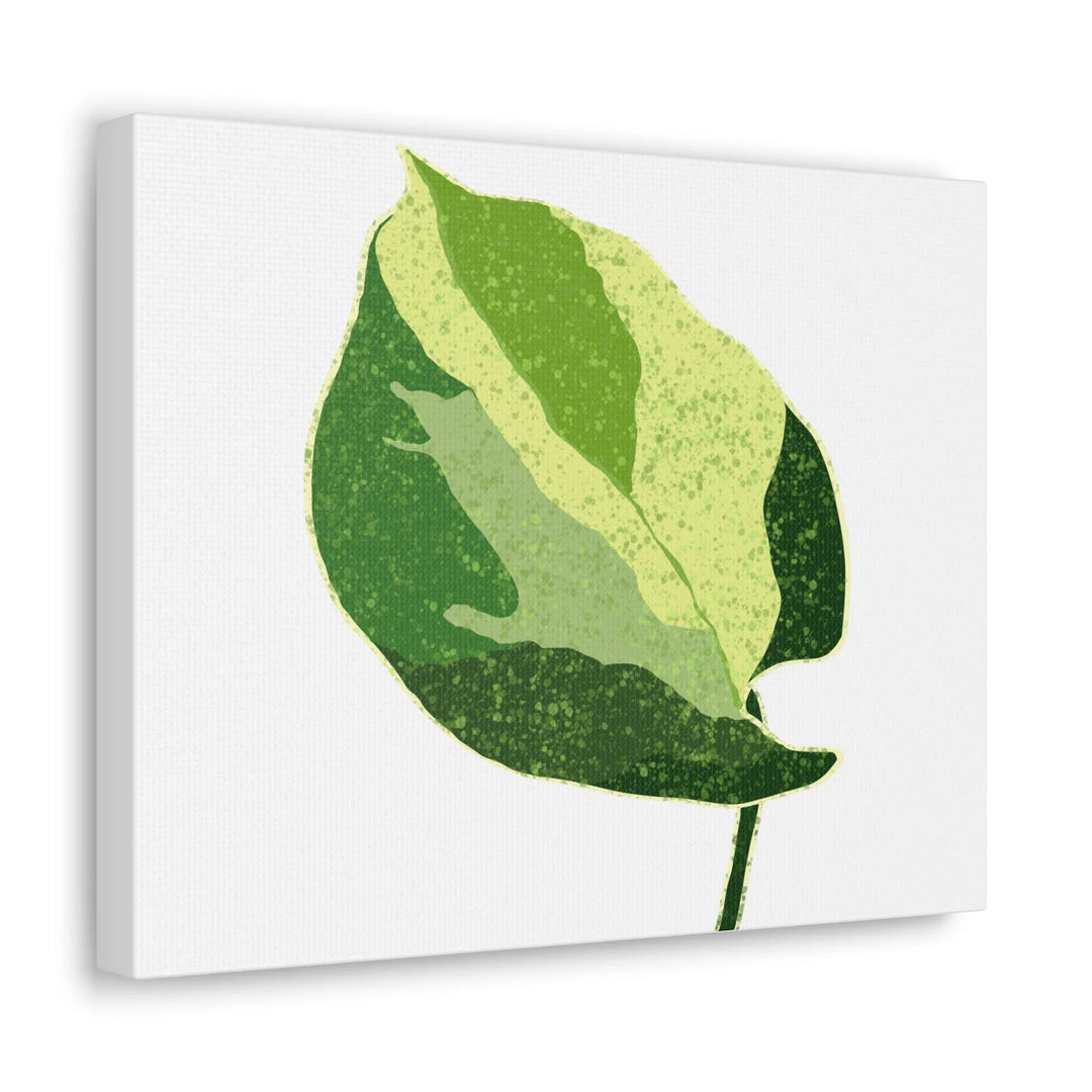 Pothos Canvas Print – Matte Finish Canvas Art Print With Durable Cotton Material - Laura Christine Photography & Design