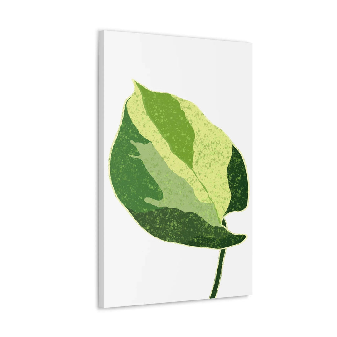 Pothos Canvas Print – Matte Finish Canvas Art Print With Durable Cotton Material - Laura Christine Photography & Design