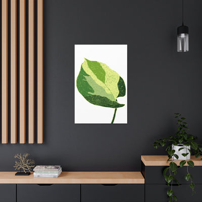 Manjula Pothos Canvas