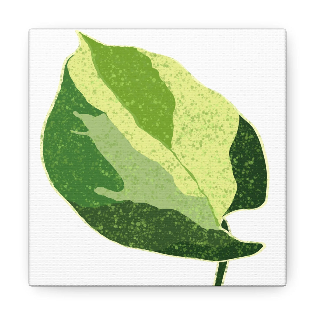 Pothos Canvas Print – Matte Finish Canvas Art Print With Durable Cotton Material - Laura Christine Photography & Design