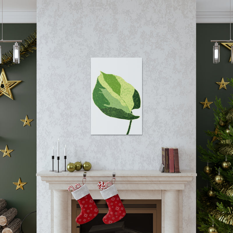 Manjula Pothos Canvas