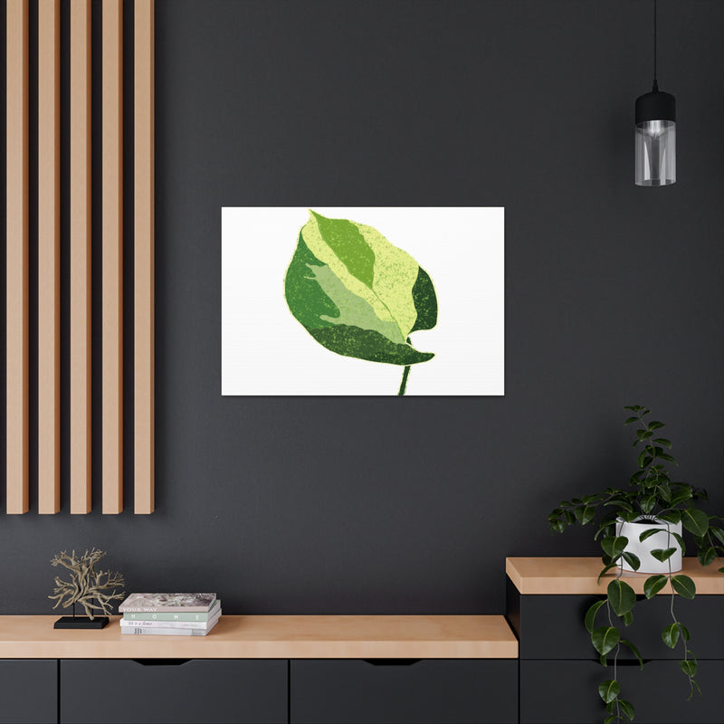 Manjula Pothos Canvas