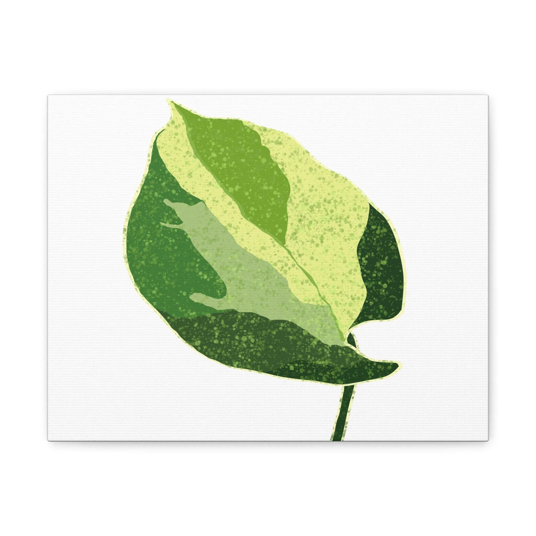 Pothos Canvas Print – Matte Finish Canvas Art Print With Durable Cotton Material - Laura Christine Photography & Design