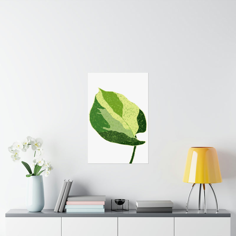 Manjula Pothos Print