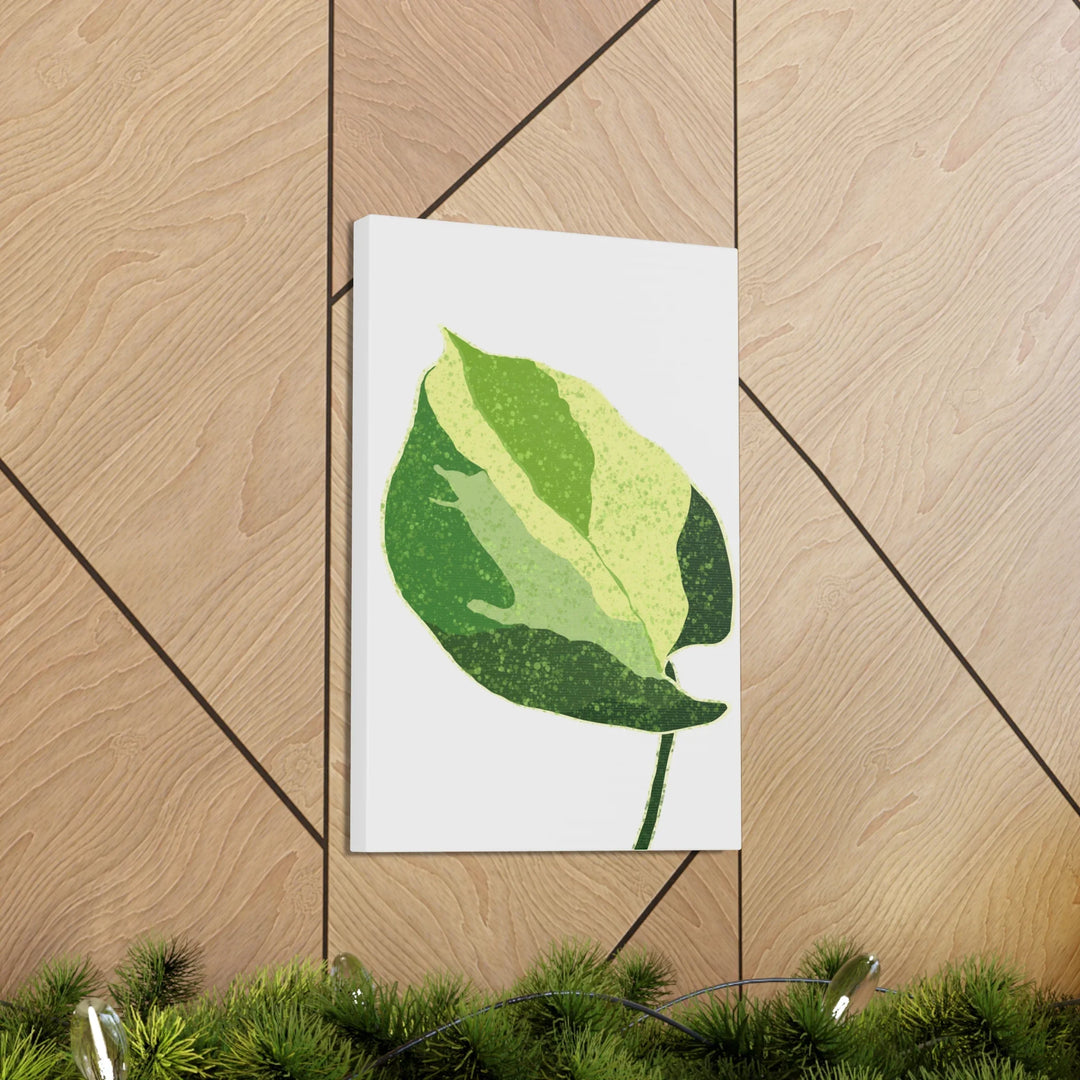 Pothos Canvas Print – Matte Finish Canvas Art Print With Durable Cotton Material - Laura Christine Photography & Design
