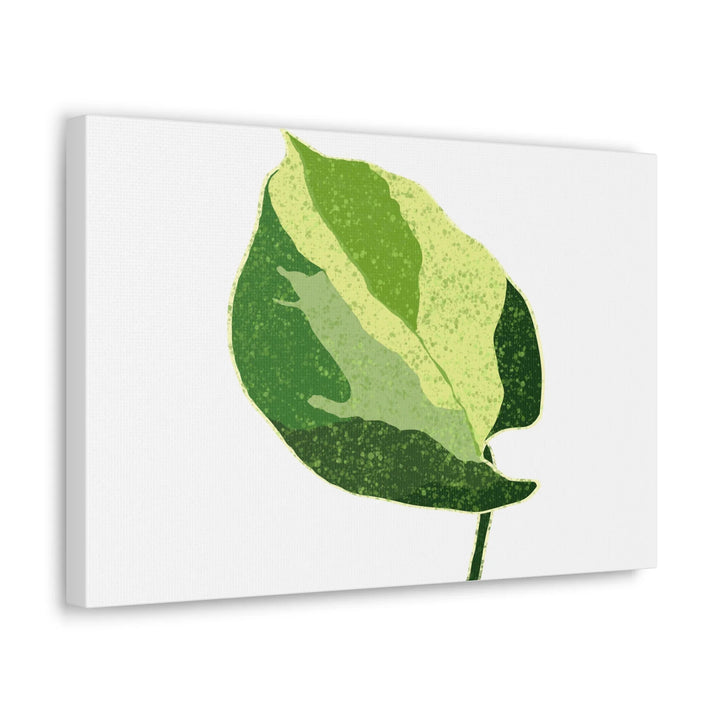 Pothos Canvas Print – Matte Finish Canvas Art Print With Durable Cotton Material - Laura Christine Photography & Design