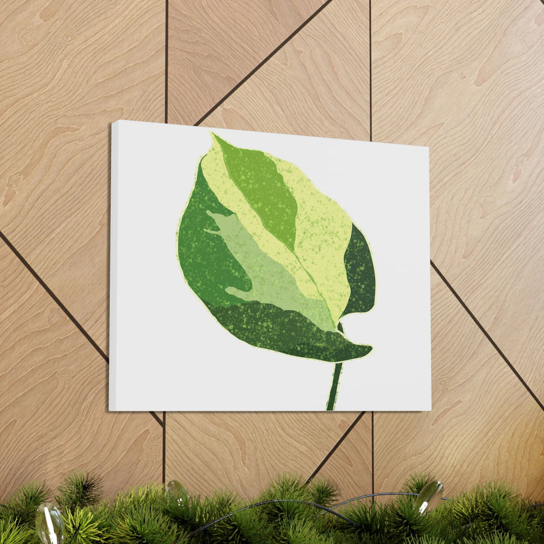Pothos Canvas Print – Matte Finish Canvas Art Print With Durable Cotton Material - Laura Christine Photography & Design