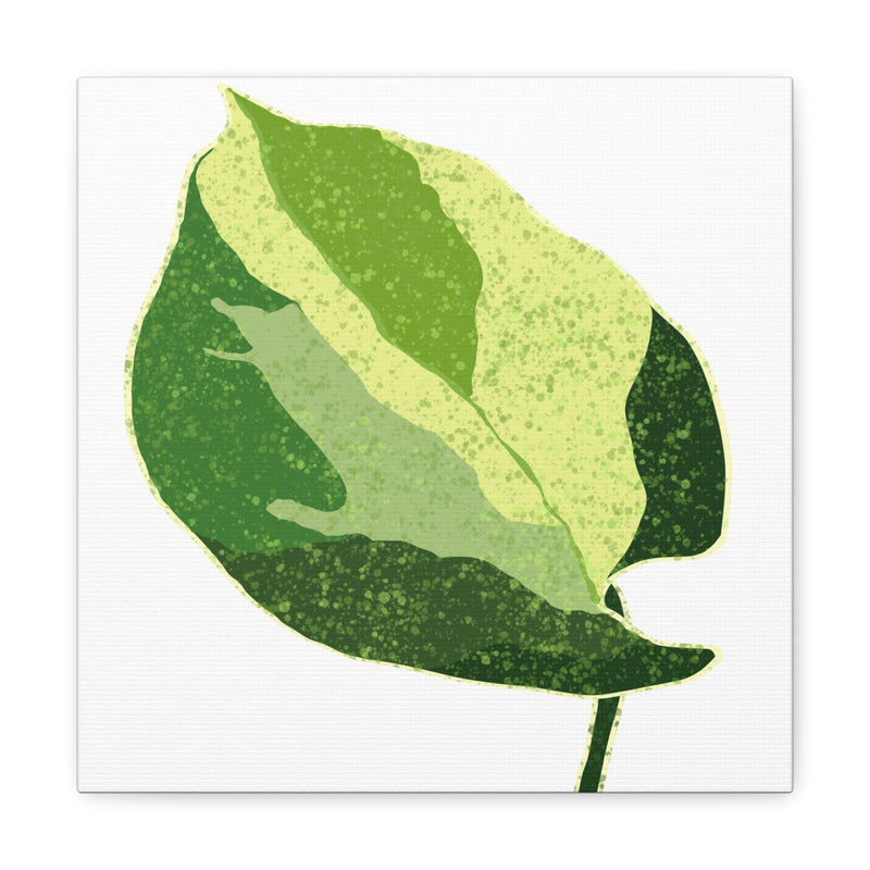 Manjula Pothos Canvas