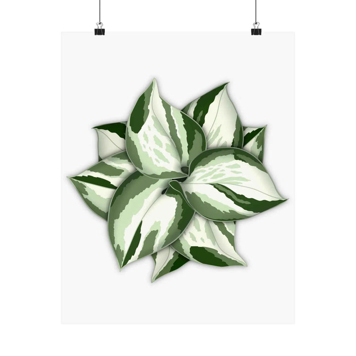 Manjula Pothos Print – Botanical Wall Art | Green Leaf Wall Decor | Unframed