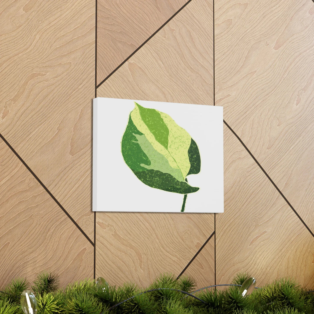 Pothos Canvas Print – Matte Finish Canvas Art Print With Durable Cotton Material - Laura Christine Photography & Design