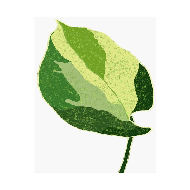 Pothos Wall Art – Botanical Poster on Museum Grade Paper | Indoor Plant Print Unframed