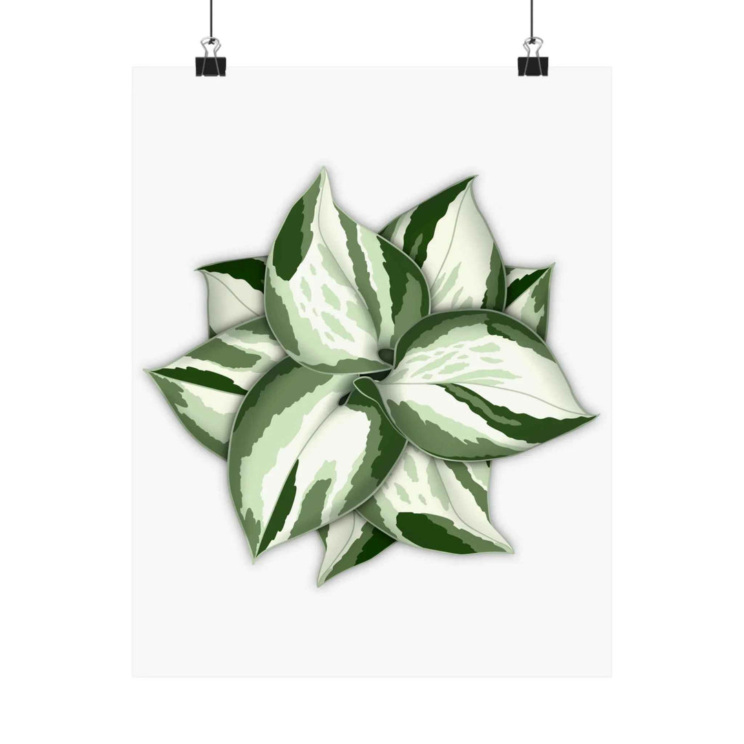 Manjula Pothos Print – Botanical Wall Art | Green Leaf Wall Decor | Unframed