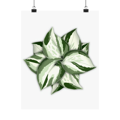 Manjula Pothos Print