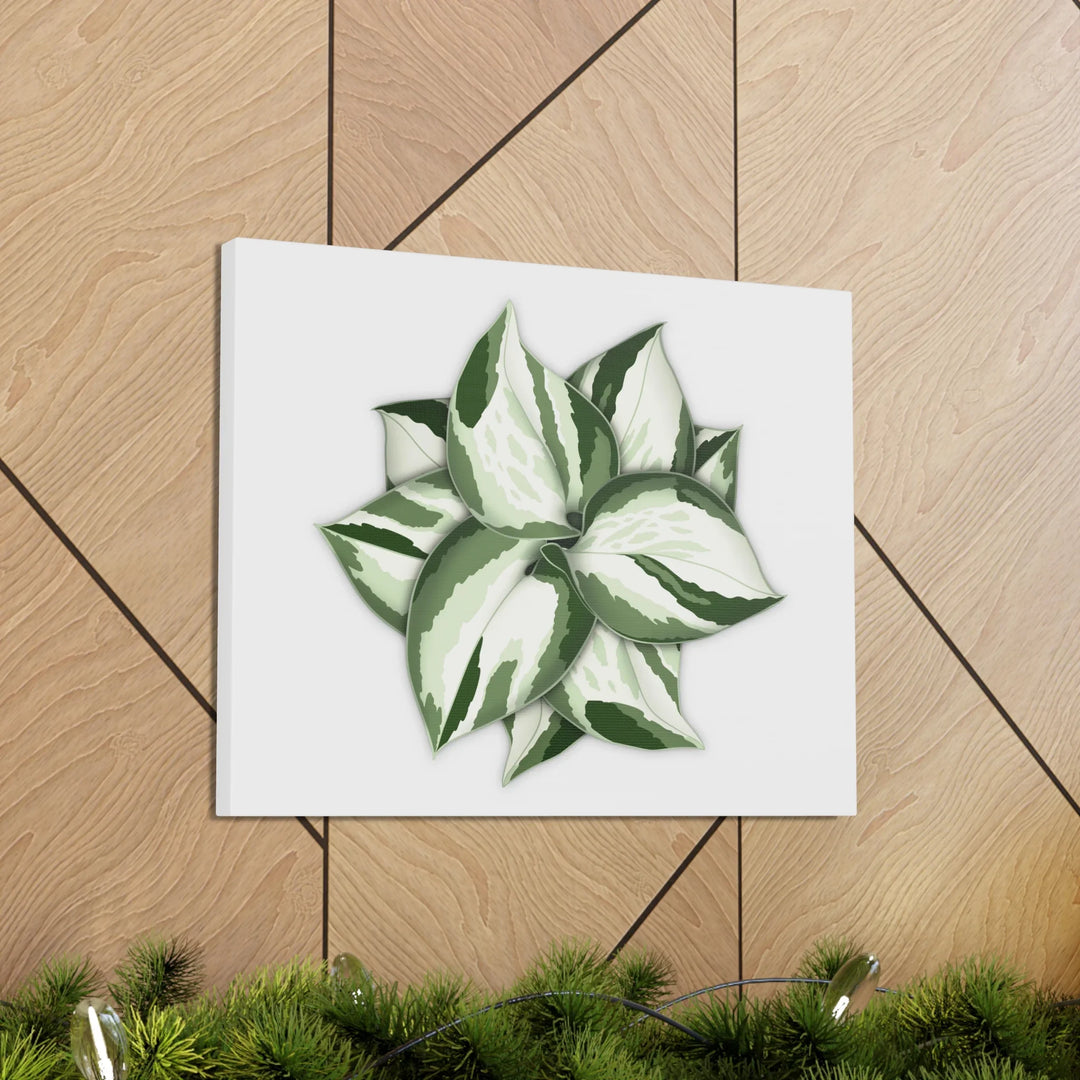 Manjula Pothos Canvas | Botanical Canvas Print - Indoor Plant Print Wall Art - Laura Christine Photography & Design