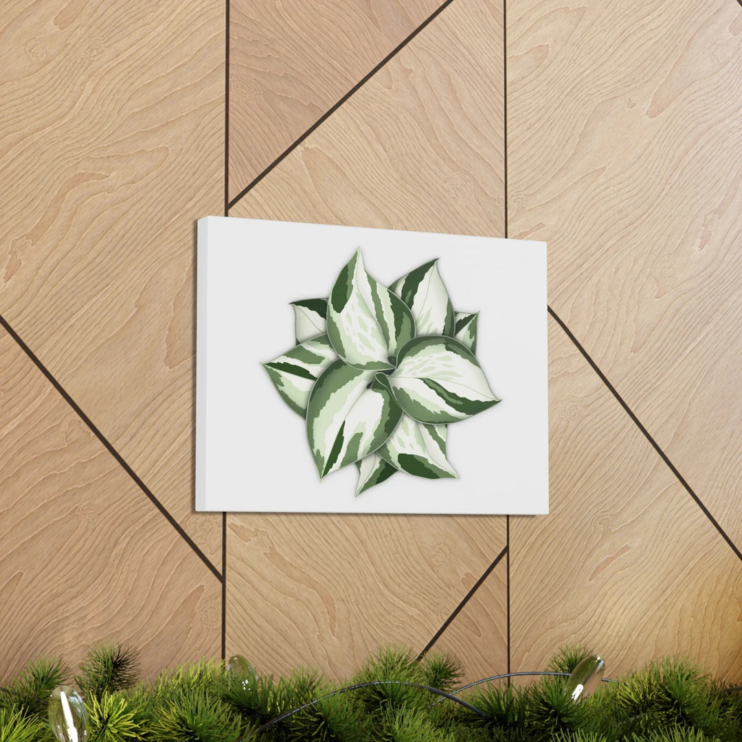 Manjula Pothos Canvas | Botanical Canvas Print - Indoor Plant Print Wall Art - Laura Christine Photography & Design