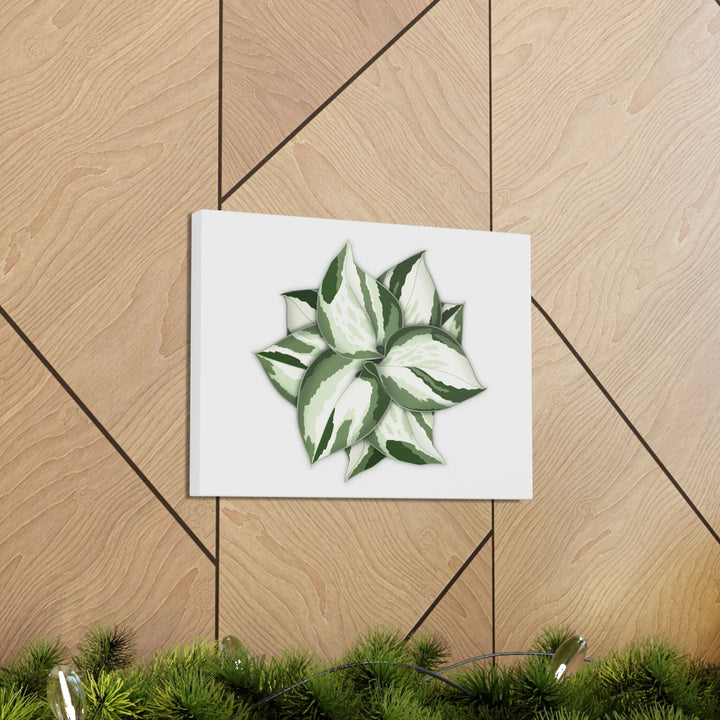 Manjula Pothos Canvas | Botanical Canvas Print - Indoor Plant Print Wall Art - Laura Christine Photography & Design