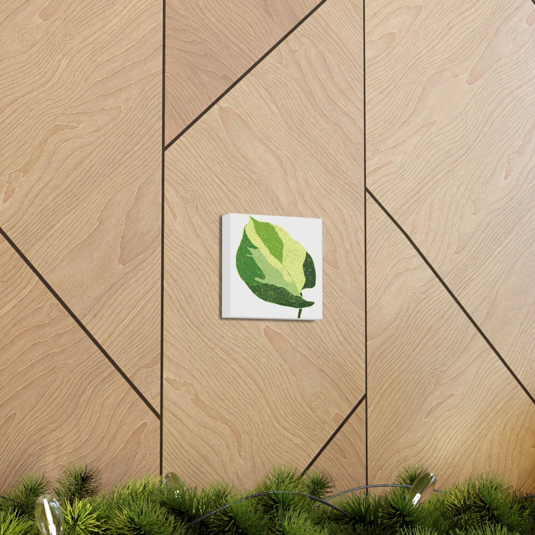 Pothos Canvas Print – Matte Finish Canvas Art Print With Durable Cotton Material - Laura Christine Photography & Design