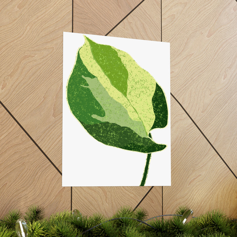 Manjula Pothos Print