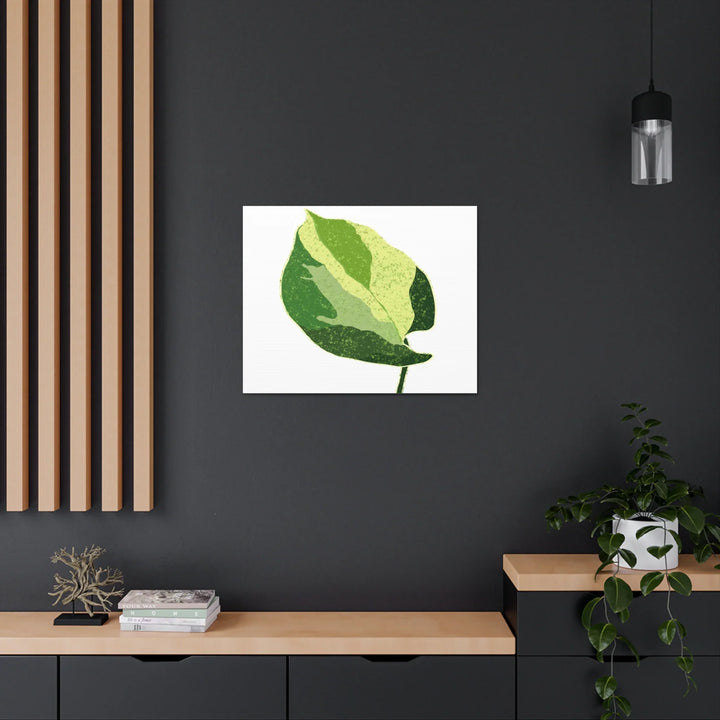Pothos Canvas Print – Matte Finish Canvas Art Print With Durable Cotton Material - Laura Christine Photography & Design