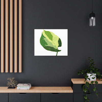 Manjula Pothos Canvas