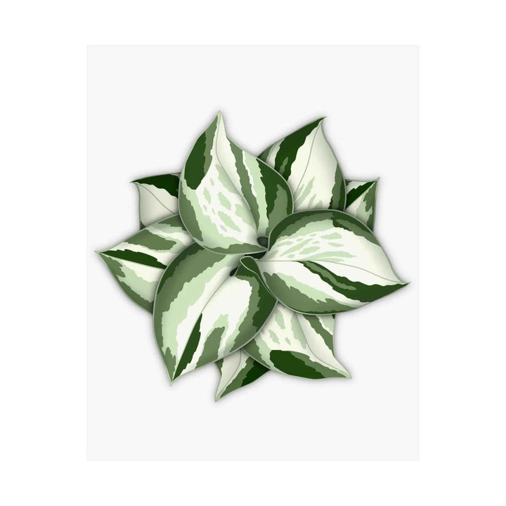 Manjula Pothos Print – Botanical Wall Art | Green Leaf Wall Decor | Unframed