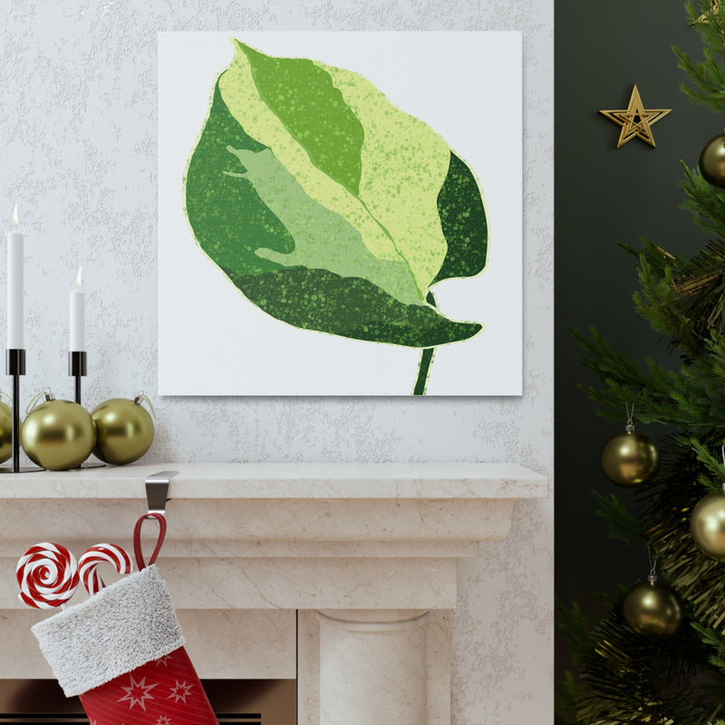 Manjula Pothos Canvas