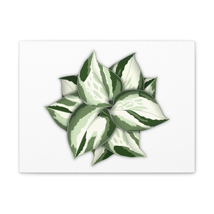 Manjula Pothos Canvas | Botanical Canvas Print - Indoor Plant Print Wall Art - Laura Christine Photography & Design