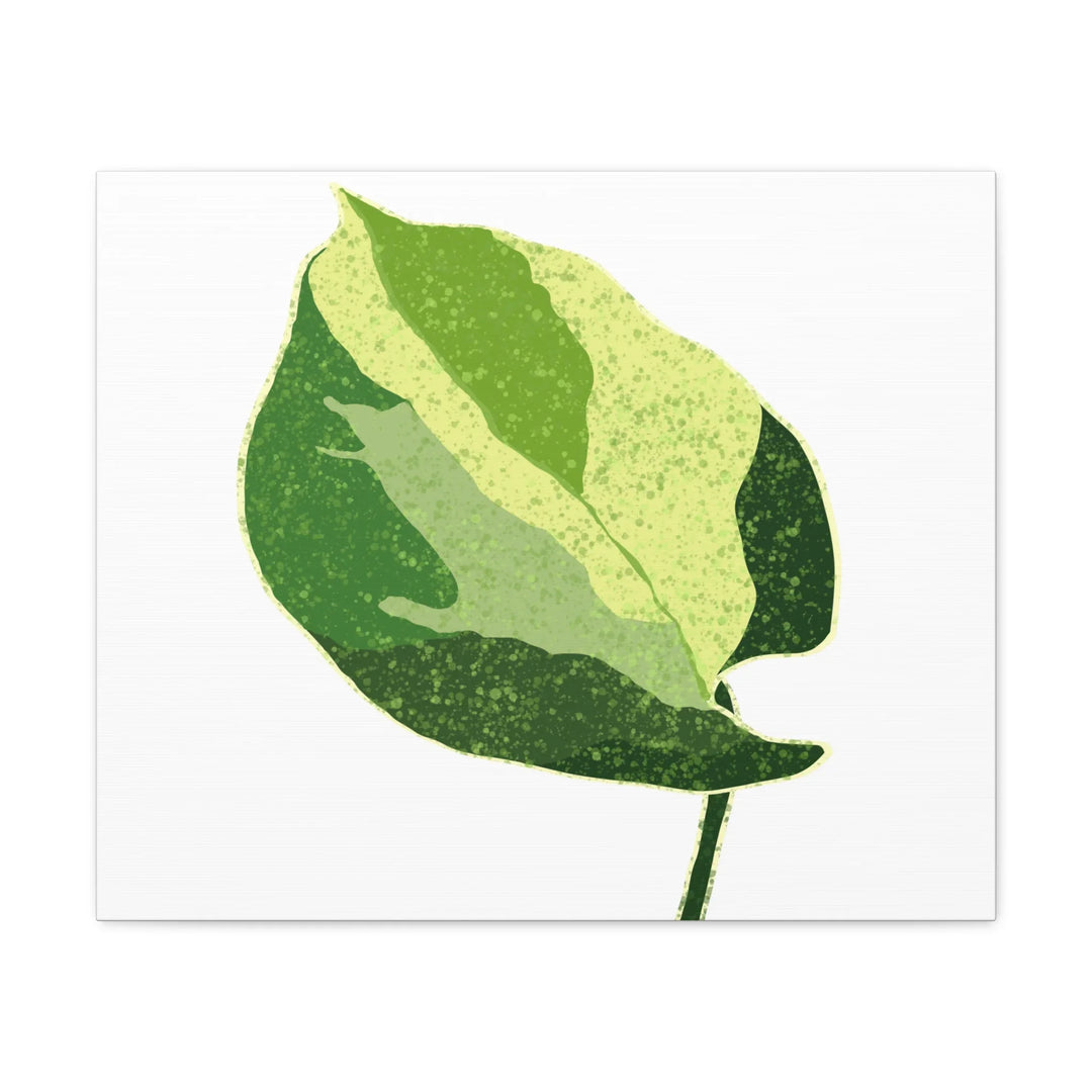 Pothos Canvas Print – Matte Finish Canvas Art Print With Durable Cotton Material - Laura Christine Photography & Design