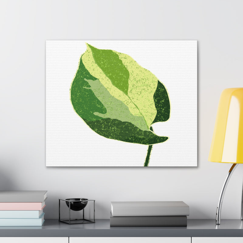 Manjula Pothos Canvas