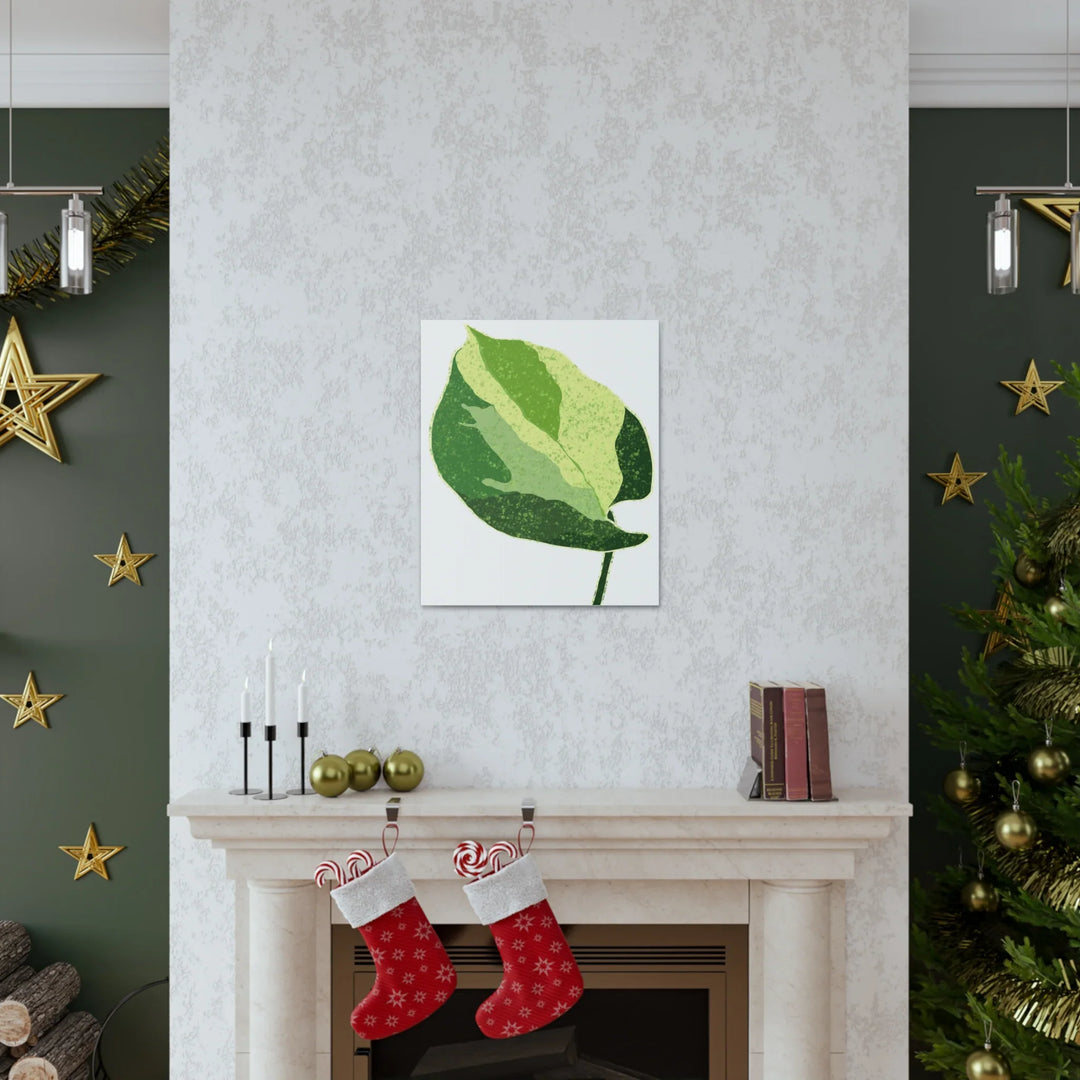 Pothos Canvas Print – Matte Finish Canvas Art Print With Durable Cotton Material - Laura Christine Photography & Design