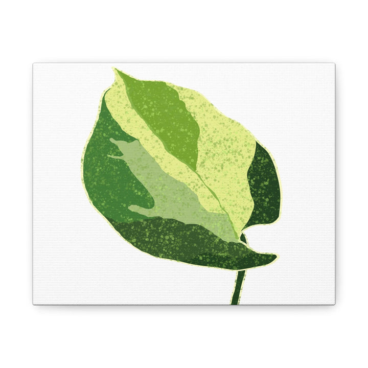 Pothos Canvas Print – Matte Finish Canvas Art Print With Durable Cotton Material - Laura Christine Photography & Design