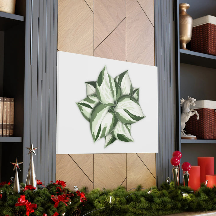 Manjula Pothos Canvas | Botanical Canvas Print - Indoor Plant Print Wall Art - Laura Christine Photography & Design