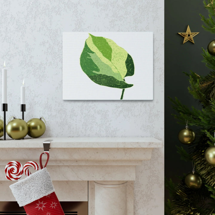 Pothos Canvas Print – Matte Finish Canvas Art Print With Durable Cotton Material - Laura Christine Photography & Design