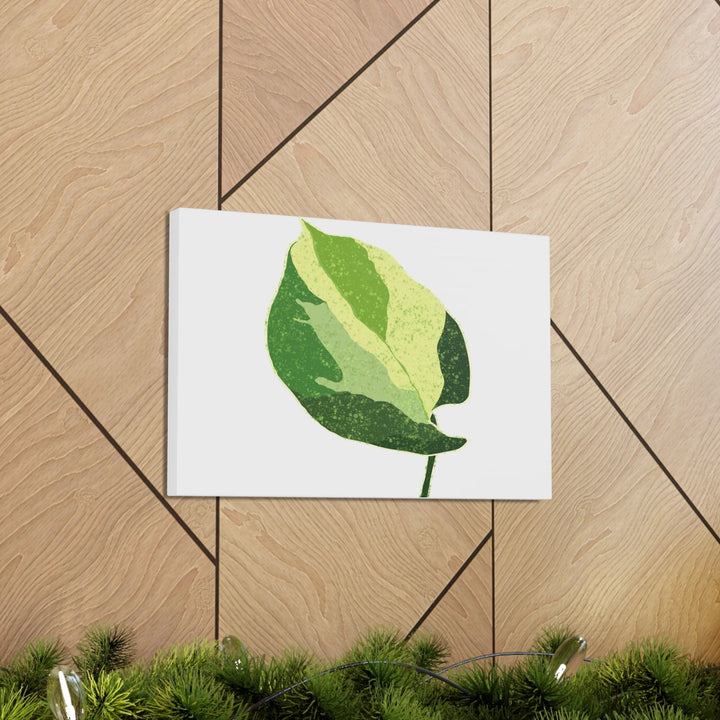 Pothos Canvas Print – Matte Finish Canvas Art Print With Durable Cotton Material - Laura Christine Photography & Design