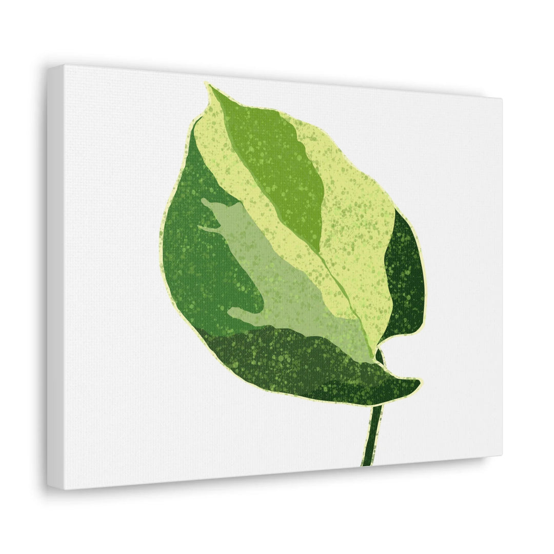 Pothos Canvas Print – Matte Finish Canvas Art Print With Durable Cotton Material - Laura Christine Photography & Design