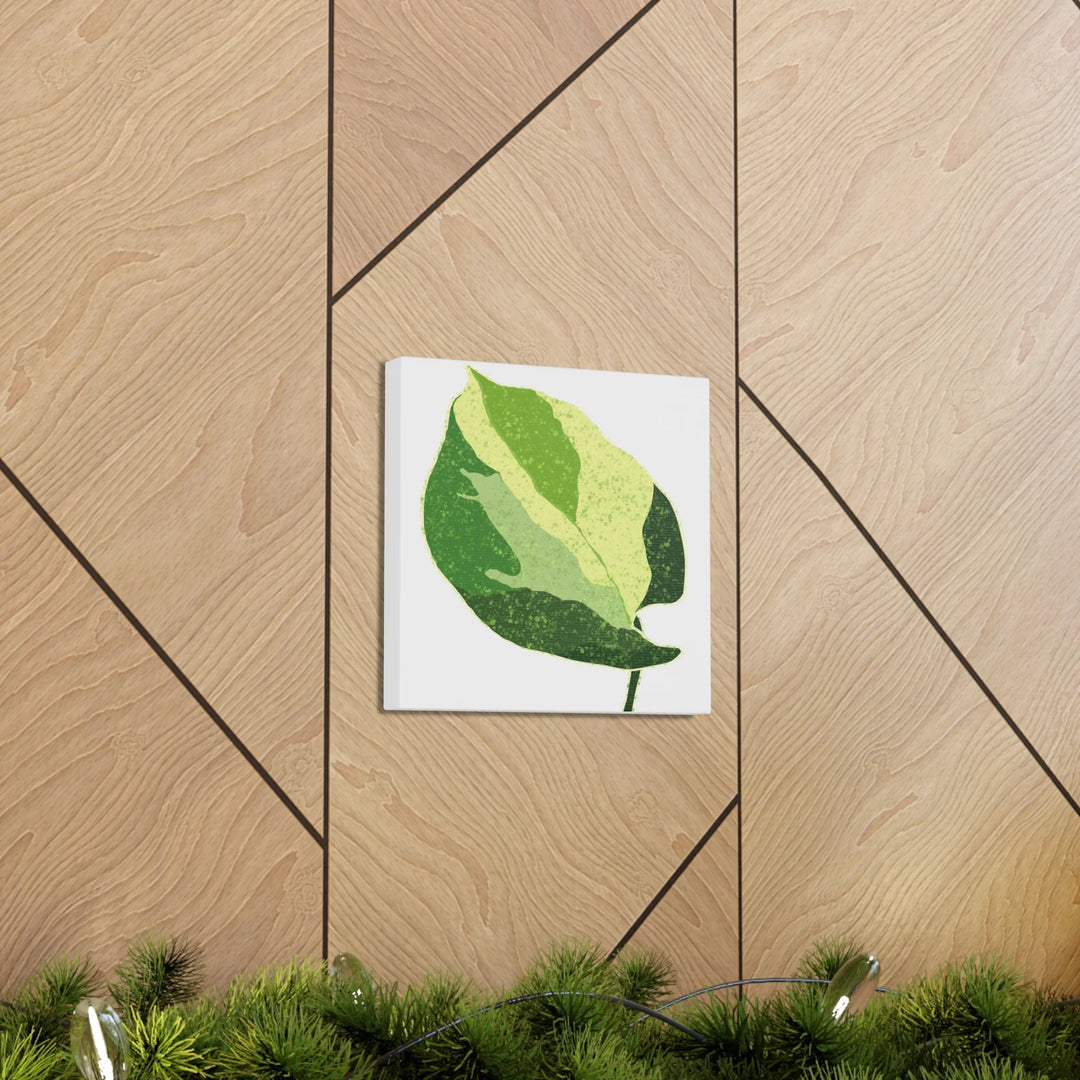 Pothos Canvas Print – Matte Finish Canvas Art Print With Durable Cotton Material - Laura Christine Photography & Design