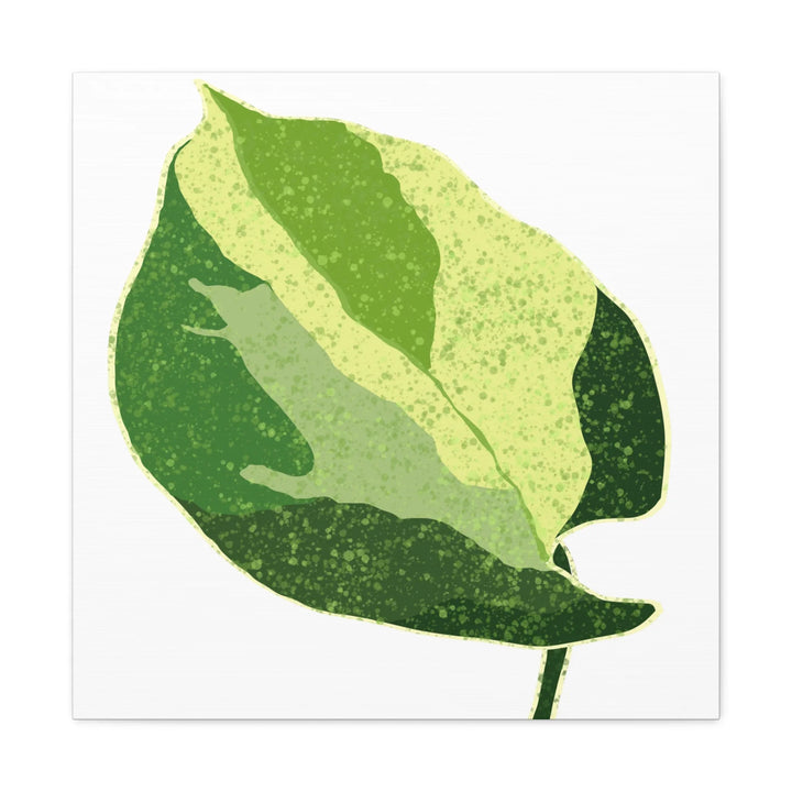 Pothos Canvas Print – Matte Finish Canvas Art Print With Durable Cotton Material - Laura Christine Photography & Design