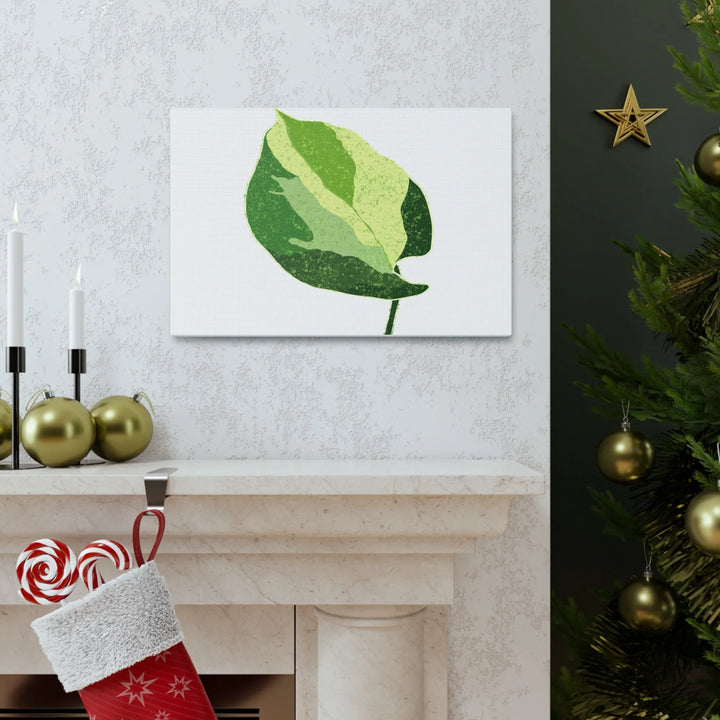 Pothos Canvas Print – Matte Finish Canvas Art Print With Durable Cotton Material - Laura Christine Photography & Design