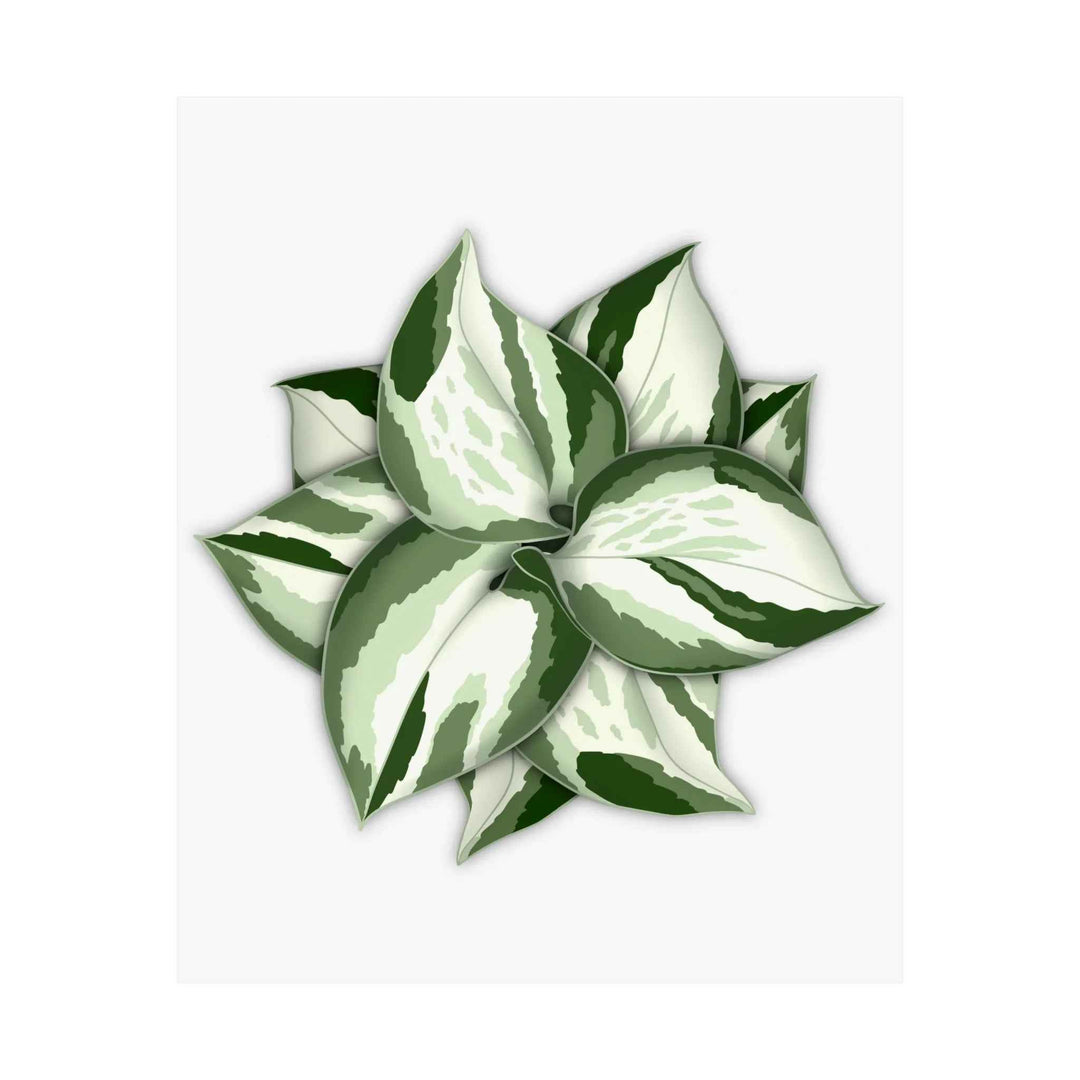 Manjula Pothos Print – Botanical Wall Art | Green Leaf Wall Decor | Unframed