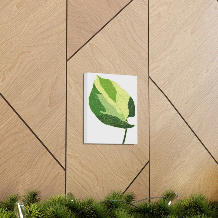 Pothos Canvas Print – Matte Finish Canvas Art Print With Durable Cotton Material - Laura Christine Photography & Design