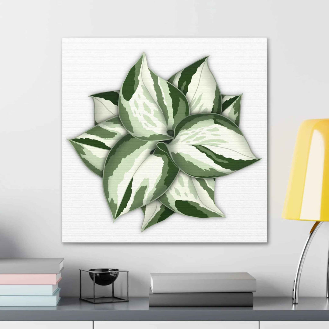 Manjula Pothos Canvas | Botanical Canvas Print - Indoor Plant Print Wall Art
