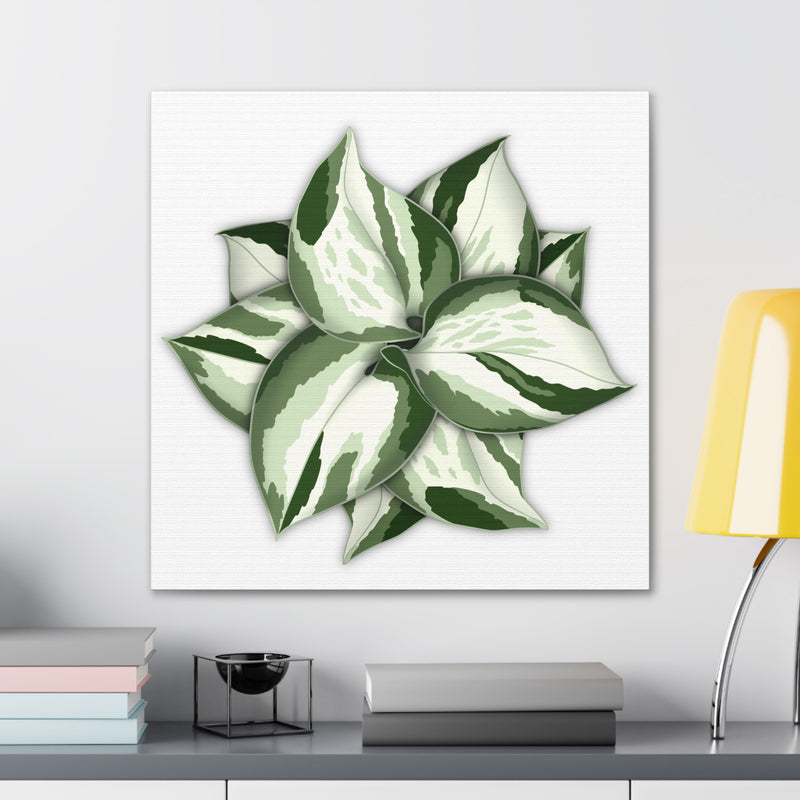 Manjula Pothos Canvas