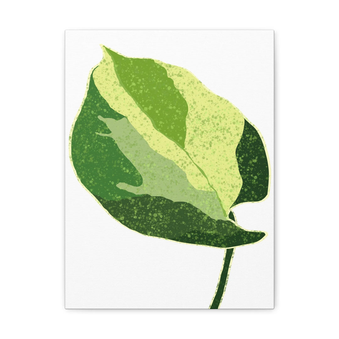 Pothos Canvas Print – Matte Finish Canvas Art Print With Durable Cotton Material - Laura Christine Photography & Design