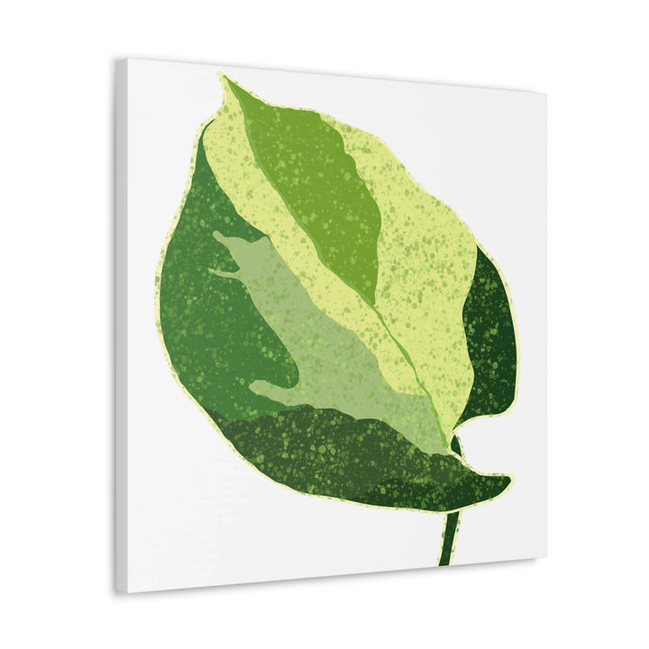 Pothos Canvas Print – Matte Finish Canvas Art Print With Durable Cotton Material - Laura Christine Photography & Design