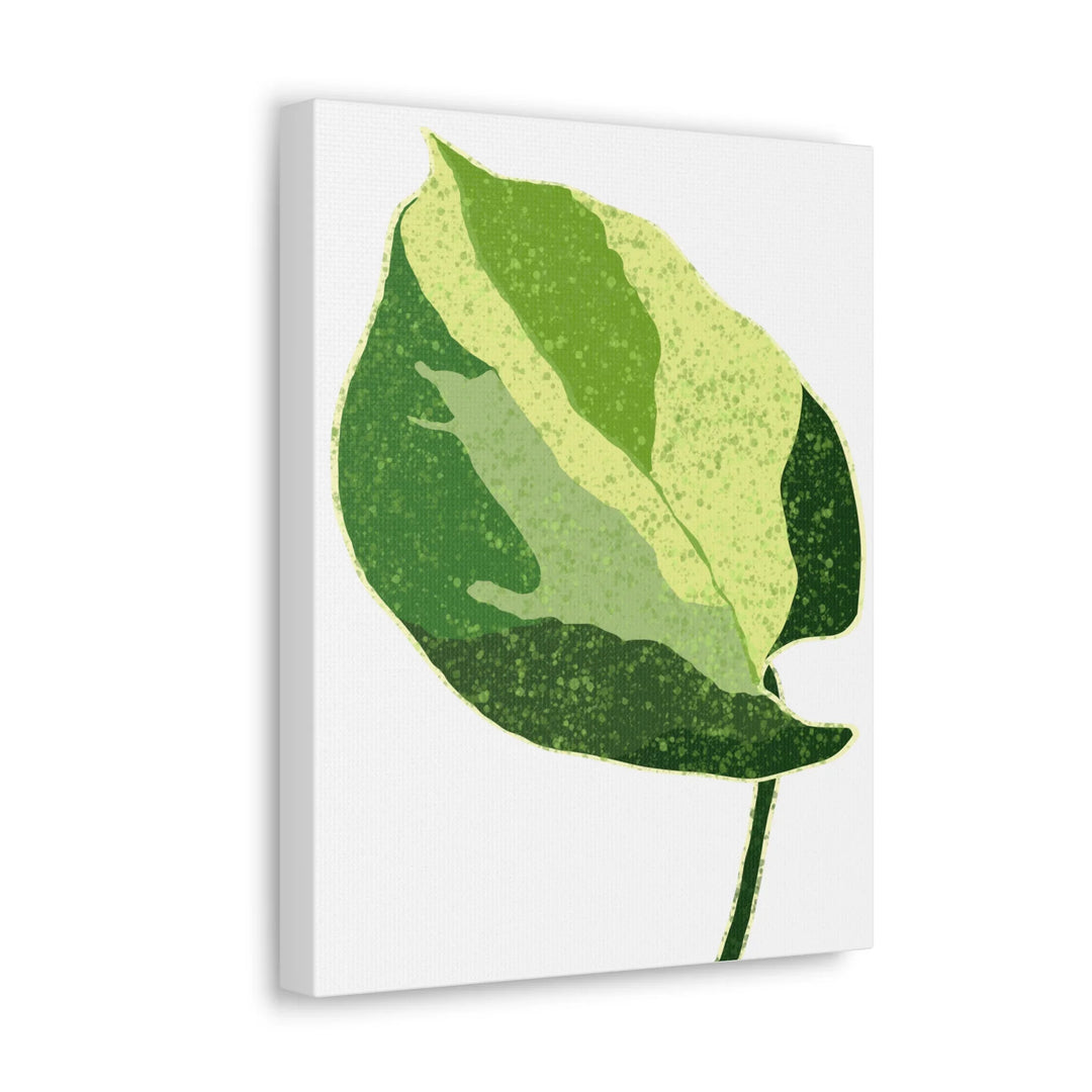Pothos Canvas Print – Matte Finish Canvas Art Print With Durable Cotton Material - Laura Christine Photography & Design